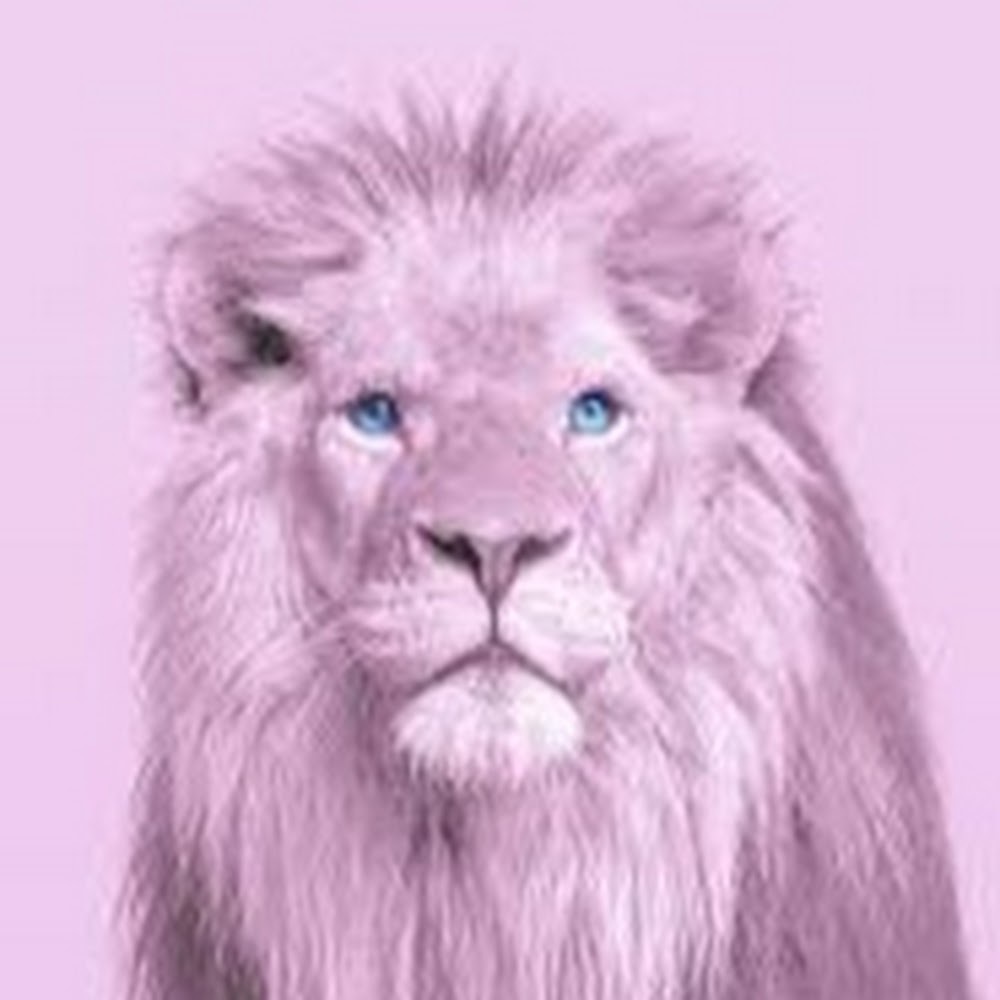 Meet your Posher, Rachael